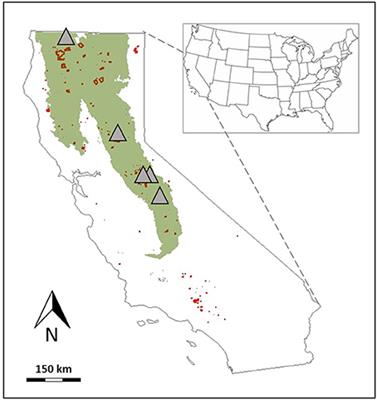 Quantifying Changes in Total and Pyrogenic Carbon Stocks Across Fire Severity Gradients Using Active Wildfire Incidents